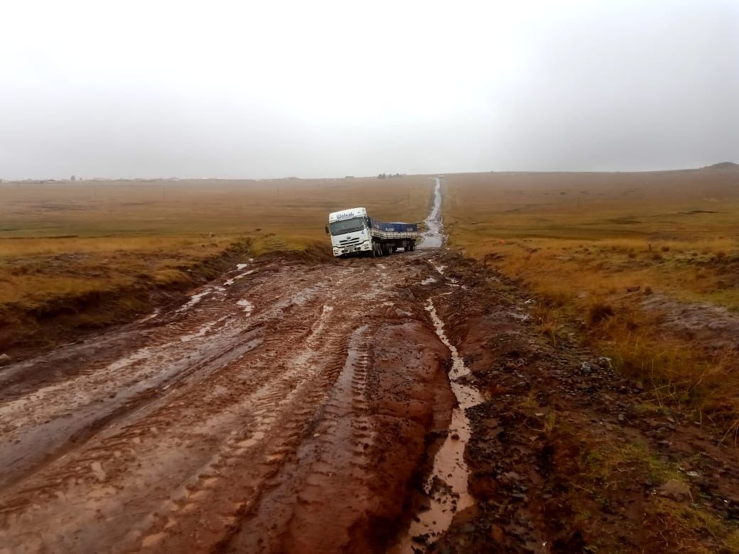 The Eastern Cape government cannot pride itself on championing the agricultural sector and yet have minimal interest in improving the roads and water infrastructure, which are critical for the success of the agricultural sector. 

The photos I receive from various dairy farmers,