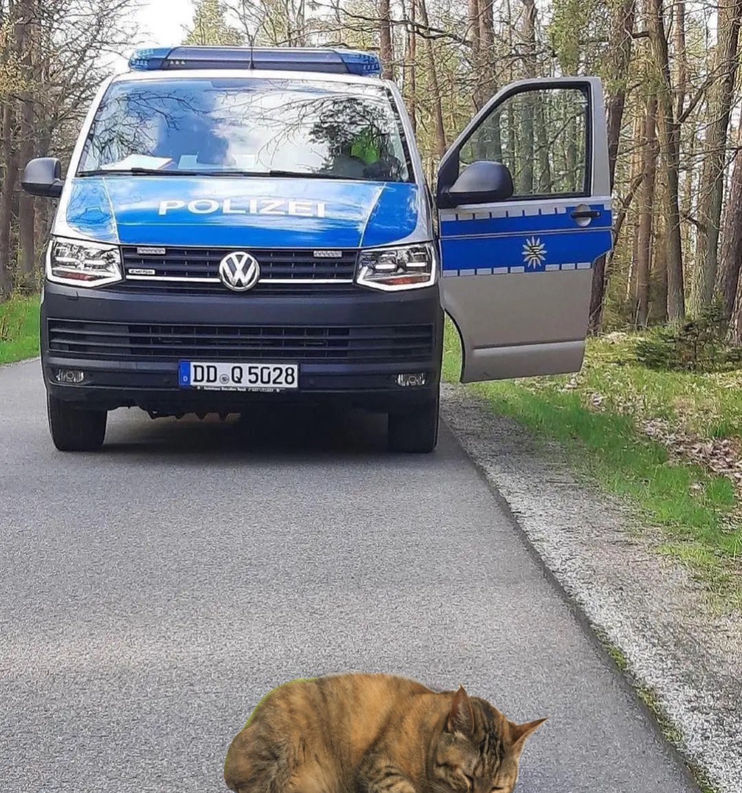 humweed's tweet image. h??hhi?huh