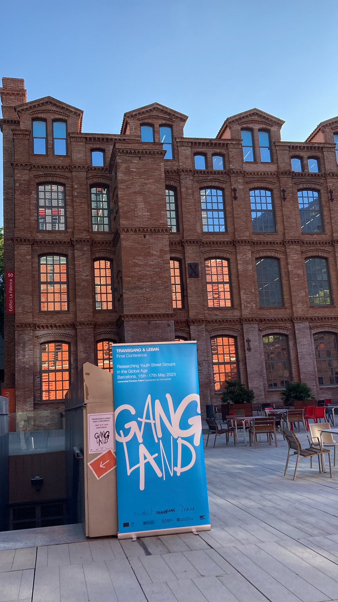 TRANSGANG tweet media