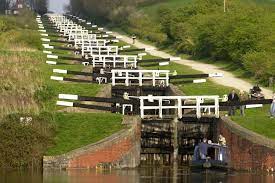 Rachel Goodfellow tweet media