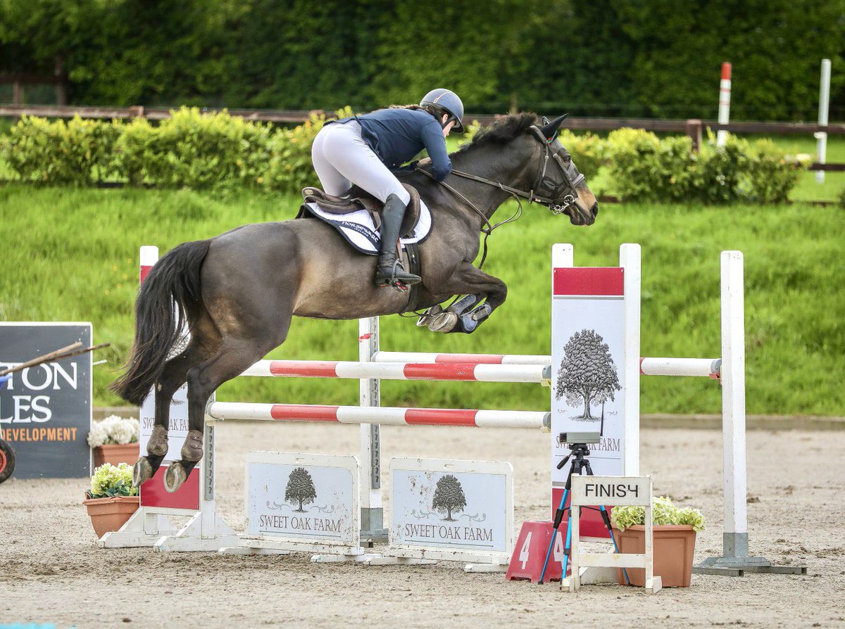 annmariehynes's tweet image. Busy Lizzie jumping great yesterday at the Sceilig Grand Prix Show going double clear in a competitive 1.15 

Totally Broke also jumped clear in the 1m class and was 2nd 🥈