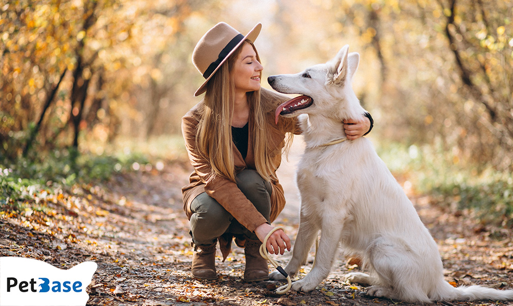 PetBase's tweet image. 🐾 Zorg dat je huisdier veilig is! Controleer de chip-registratie 🐾

💡 Een microchip voor je huisdier is de sleutel tot snelle opsporing als ze ooit verdwalen. Maar heb je hun chip wel geregistreerd? 🤔 

petbase.eu/controleer-de-…