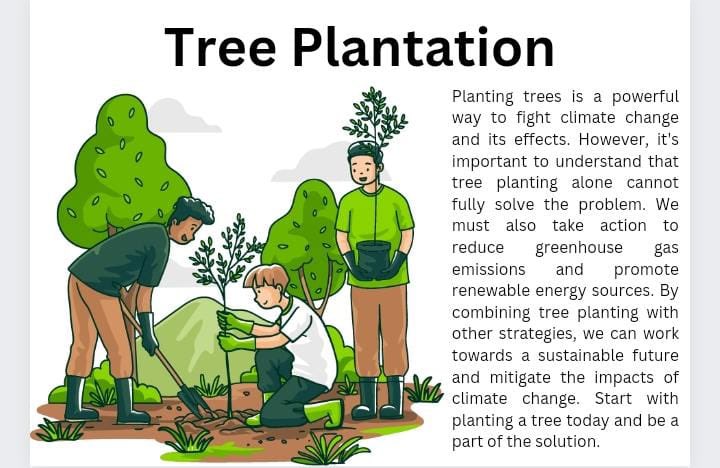 Planting tree’s is powerful way to fight climate change!