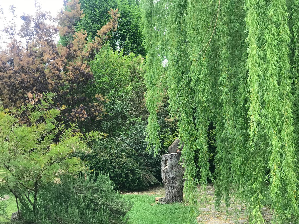 ferraralberto's tweet photo. La fiducia, l'allegria, la riflessione, la preghiera silenziosa, sono le migliori medicine per leggere, affrontare, sconfiggere i problemi, le paure del cuore; non è certo facile, ma tentar non nuoce, anzi il tutto diventa una sfida che ci rafforza nel vivere. Buona giornata https://t.co/iX433i95ny