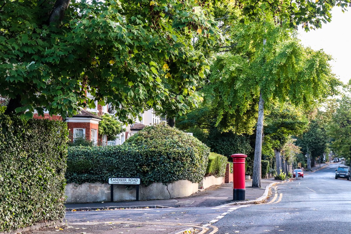 Hooray for the humble hedge

A much overlooked street inhabitant is the hedge. It doesn't just add visual appeal, it also:
🥁Reduces noise
🚗Captures pollution
🐞Creates an environment for wildlife
🫧Reduces localised flooding
And creates a sense of privacy 😎

What's not to love