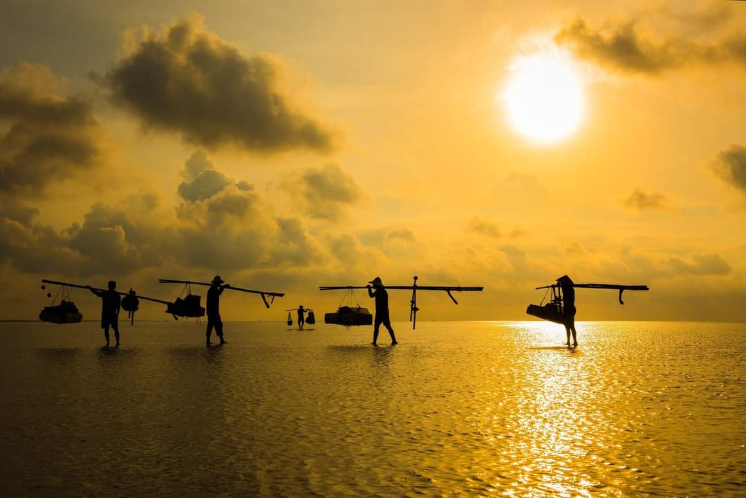 PhotosMayy's tweet photo. Welcome VietNam https://t.co/sBRVnI3lvl