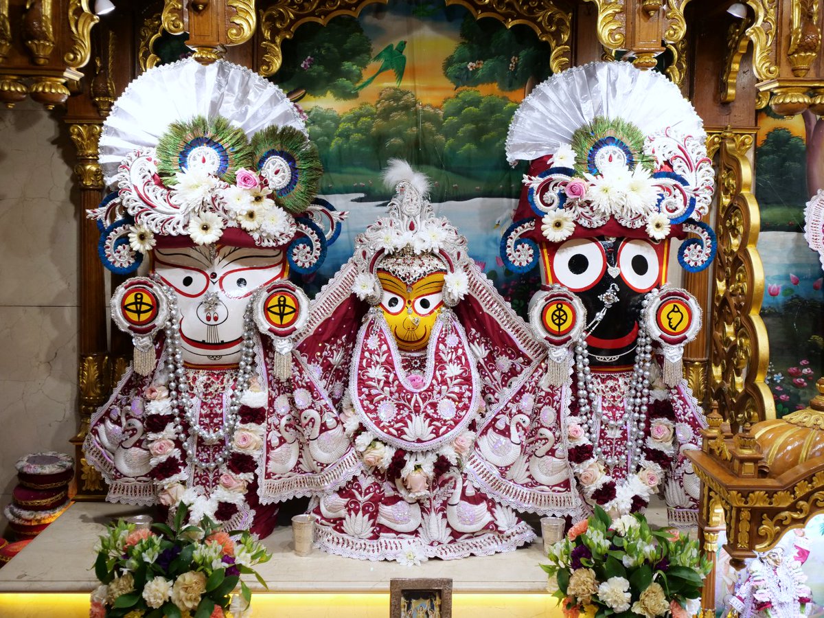 Today's Deity darshan in Lotus & Swans #krishna #radharani #radhakrishna #girigovardhan #gauranitai #jagannath #baladev #subhadra #srilaprabhupada #deities