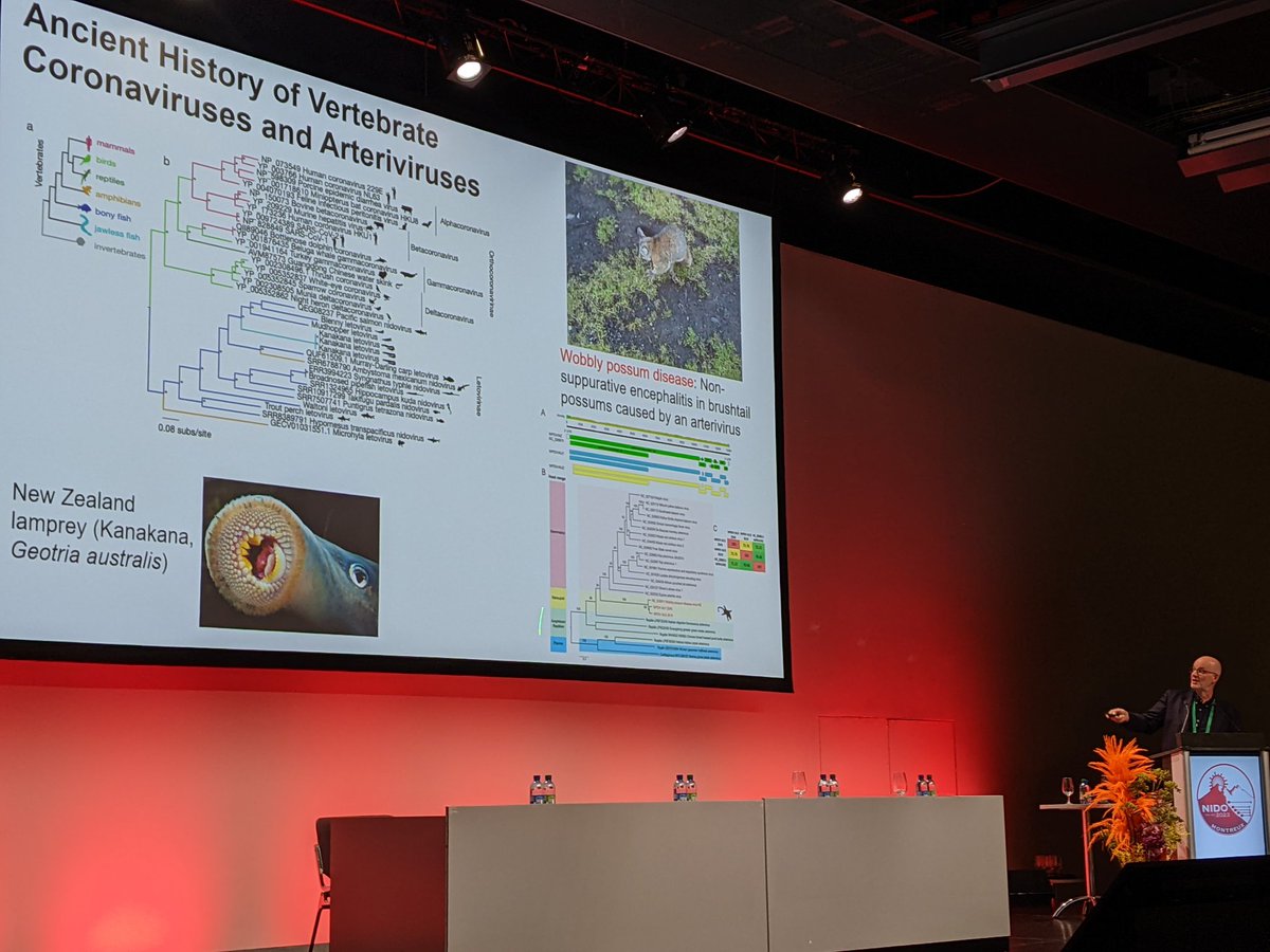 nidovirus2023's tweet photo. Second day of our symposium started with a fantastic talk from @edwardcholmes on  the ancient origin and recent emergence of #nidoviruses #emergingviruses
#Nido2023 https://t.co/EpwhrzszVD