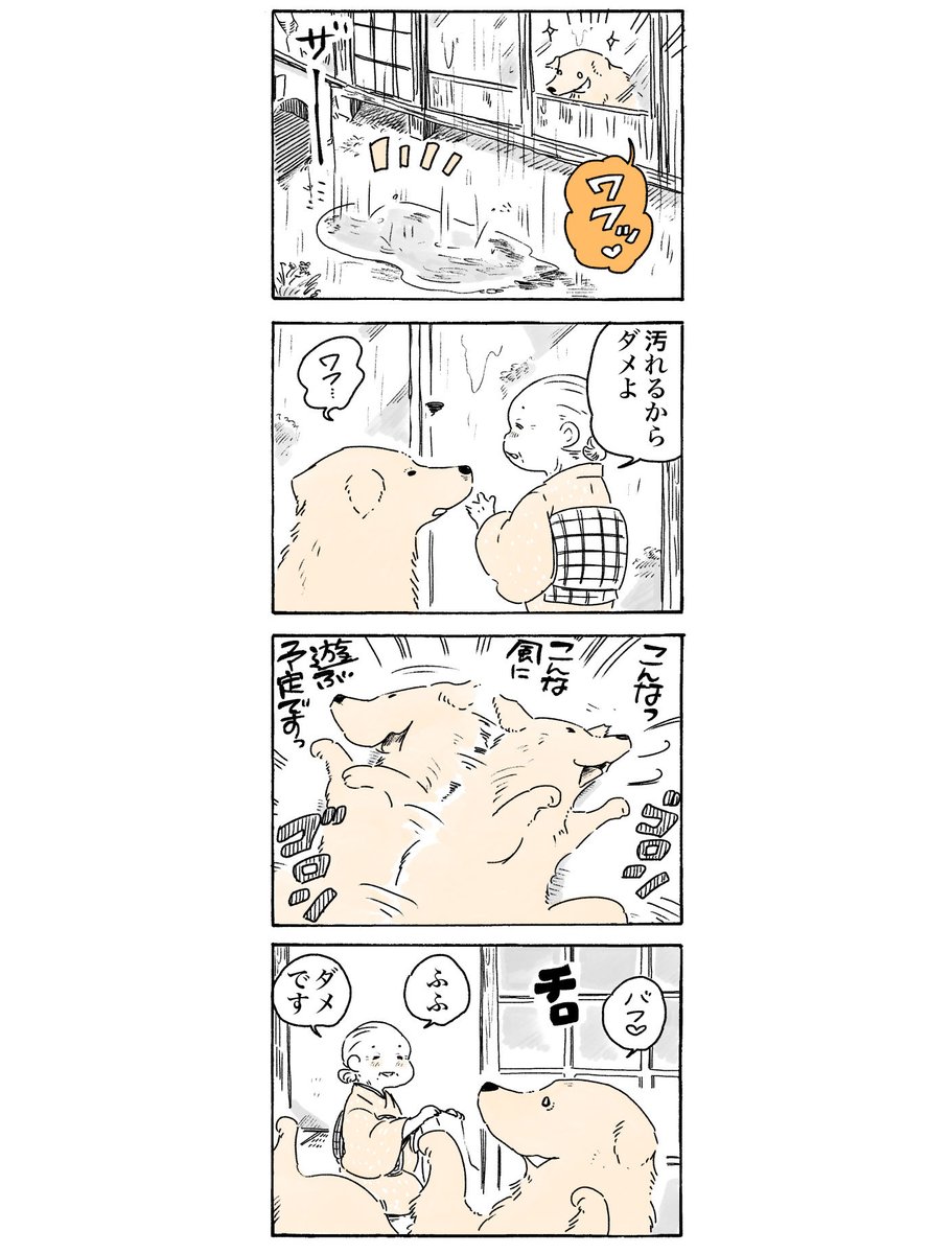 (再掲)雨ですね☂️  #姫ばあちゃんとナイト