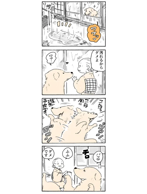 (再掲)雨ですね☂️  #姫ばあちゃんとナイト