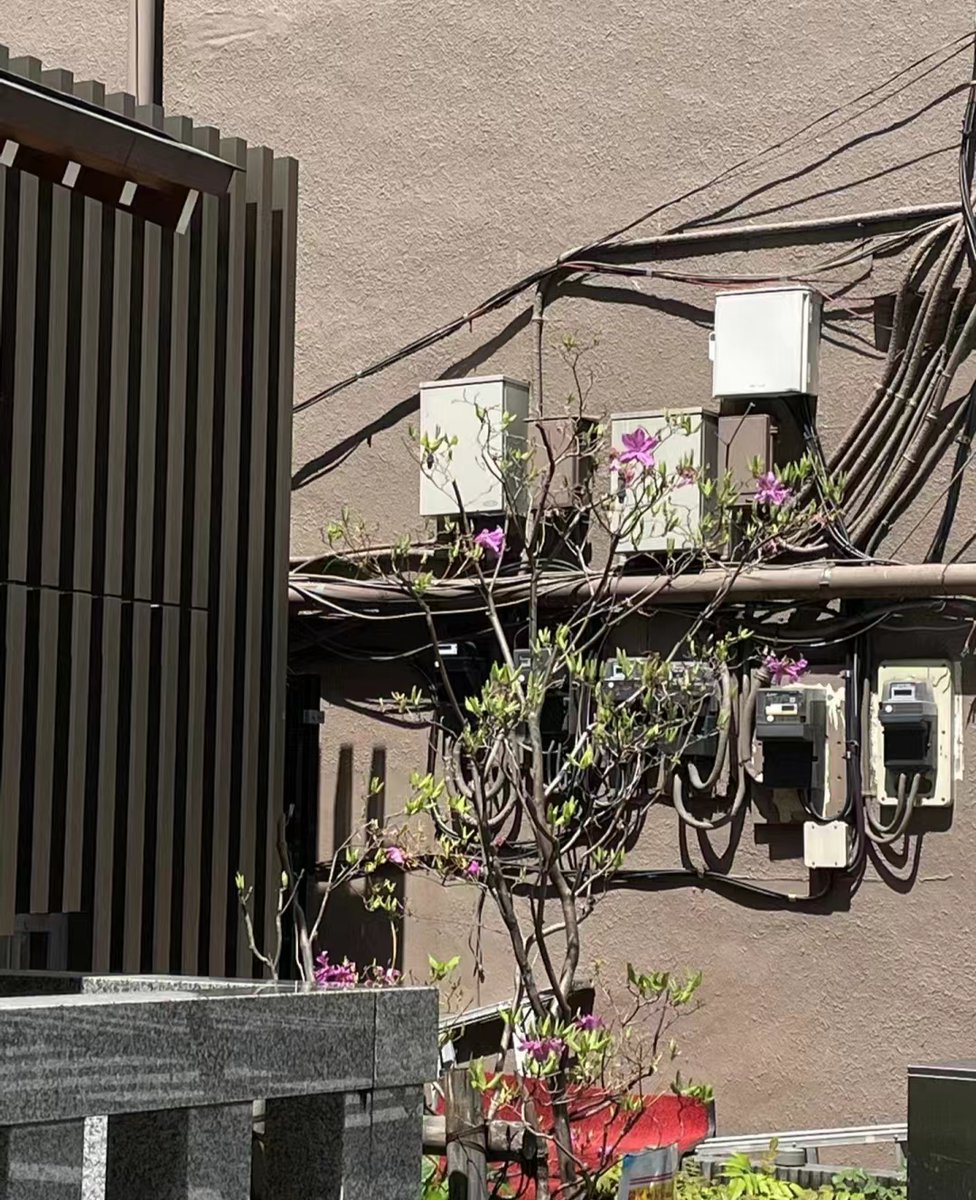 How quiet the streets are at this time, hardworking people are busy with their work