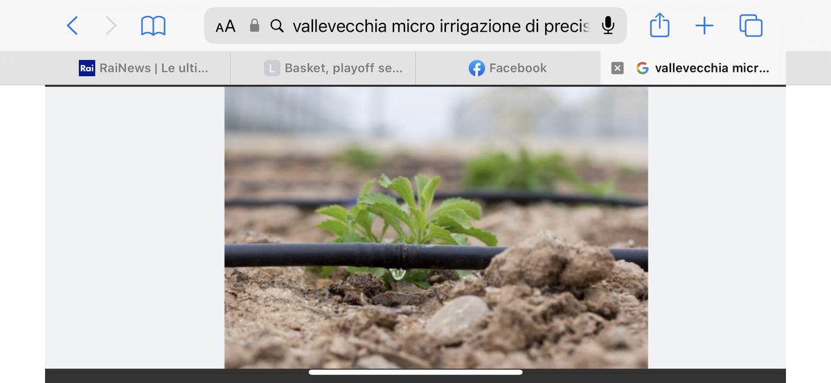 Veneto Agricoltura tweet media