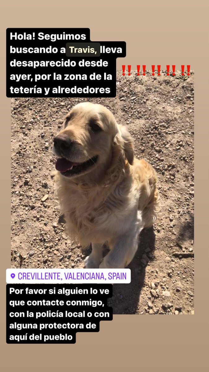 Protectora Pels Pèls Crevillent tweet media
