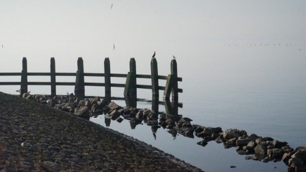 Drenkeling gevonden na melding lege catamaran -  heturkerland.nl/l/44063  heturkerland