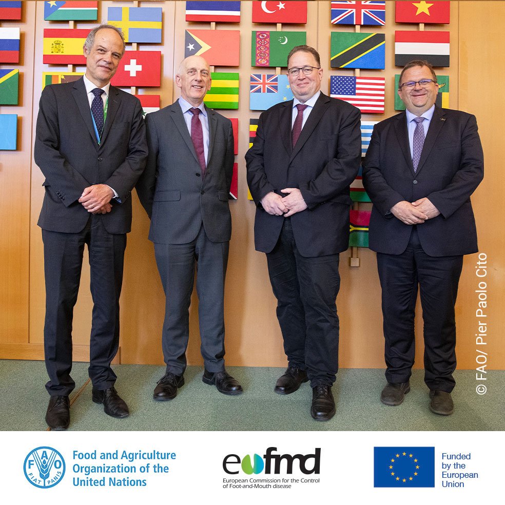 The #EuFMD Executive Committee has been elected.🎊We thank each of our past 4 presidents for having paved the way to the new Move FAST strategy.  Congratulations to Lajos Bognar on his re-election.
💪 Looking forward to #MoveFAST!