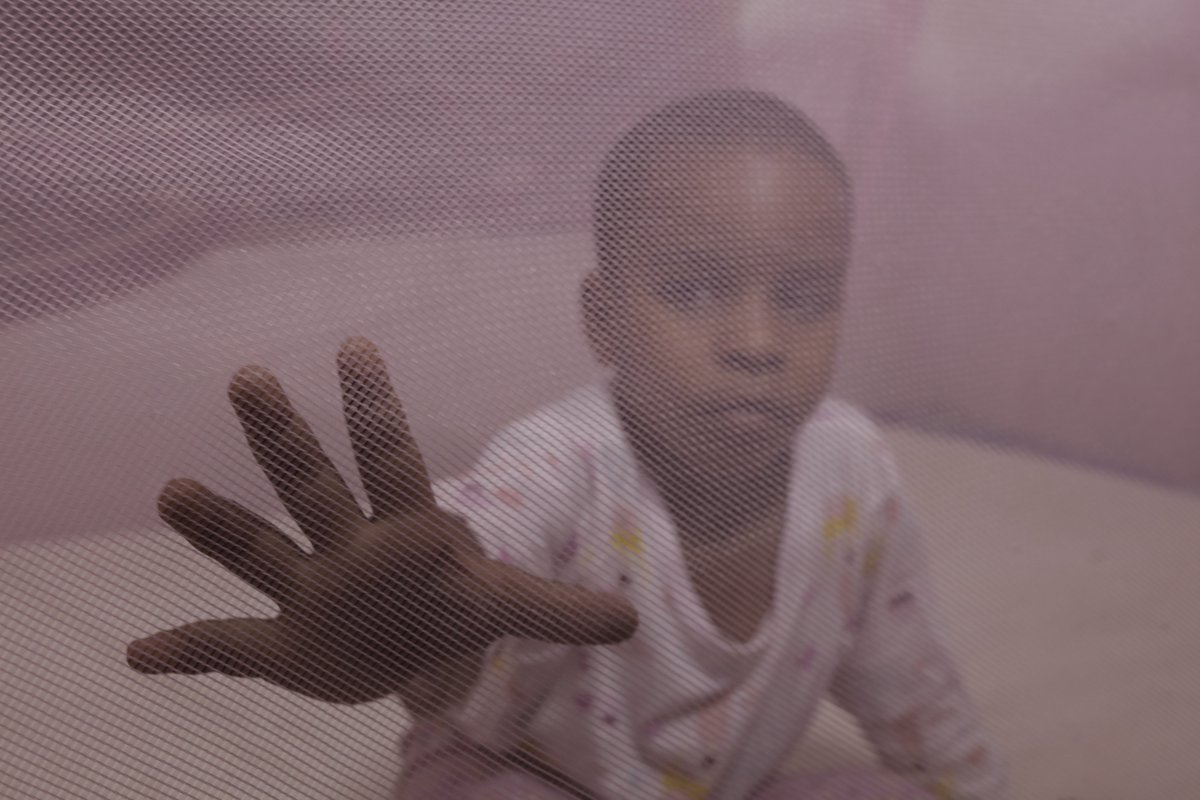 Ifakara Health Institute (@ifakarahealth) on Twitter photo MALARIA:
Bet-net use in childhood increases school completion
A study by @Ifakarahealth, <a href="/LSHTM/">London School of Hygiene & Tropical Medicine</a>, & <a href="/SwissTPH/">Swiss TPH</a> has revealed that early-life use of bed nets is strongly linked with increased school completion which may have long-term positive effects on educational attainment.
>> MALARIA:
Bet-net use in childhood increases school completion
A study by @Ifakarahealth, <a href="/LSHTM/">London School of Hygiene & Tropical Medicine</a>, & <a href="/SwissTPH/">Swiss TPH</a> has revealed that early-life use of bed nets is strongly linked with increased school completion which may have long-term positive effects on educational attainment.
>>