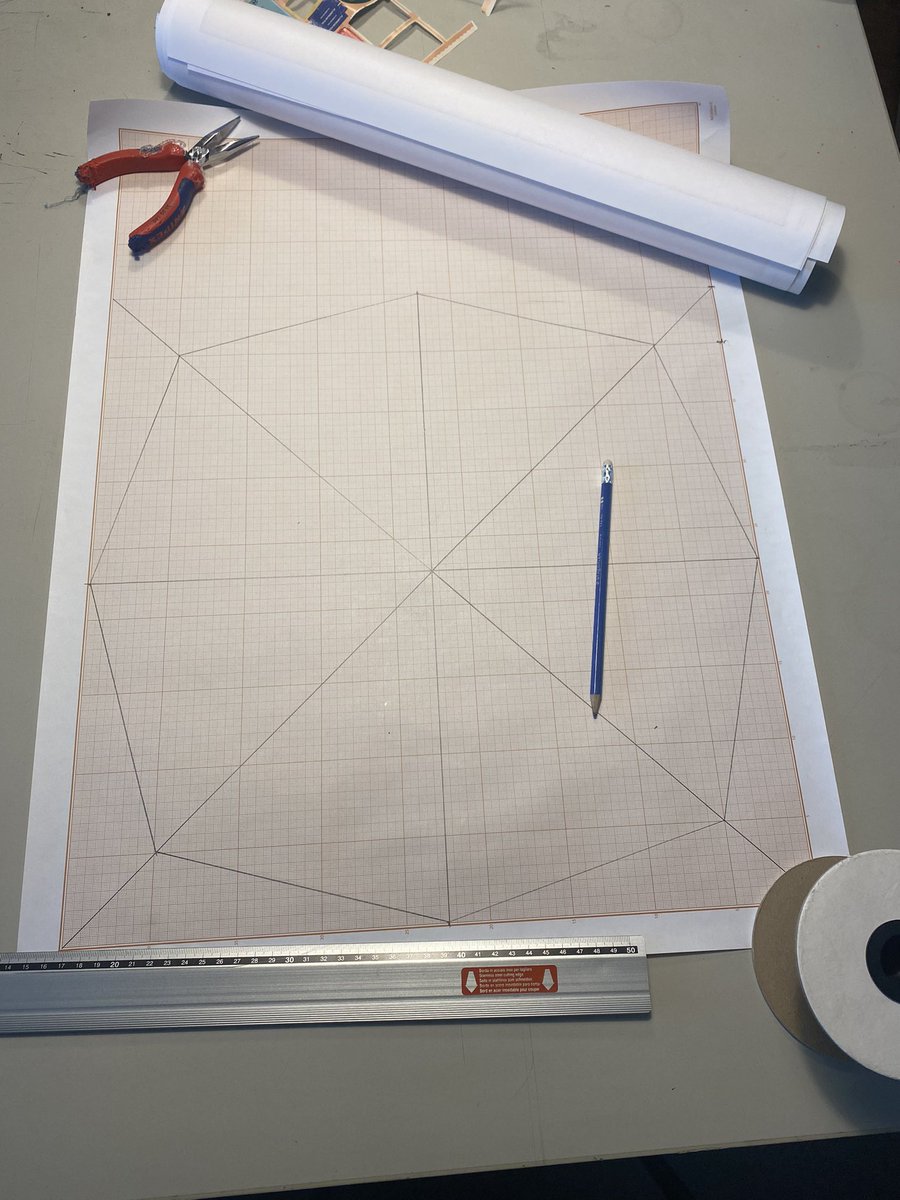 Karina schaapman tweet media