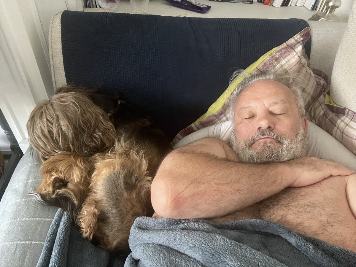 Martha Cocker, Hollywood Actress & Sock Thief tweet media