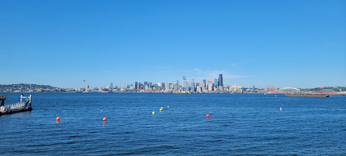 Laughingskull 💀 tweet media