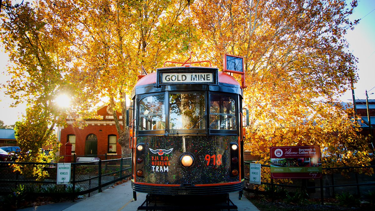 Melbourne's tweet image. The @bendigotramways + autumn leaves makes for a truly perfect shot 🍁🍂

📸 Via IG / Explore Bendigo

📍Bendigo, Dja Dja Wurrung country