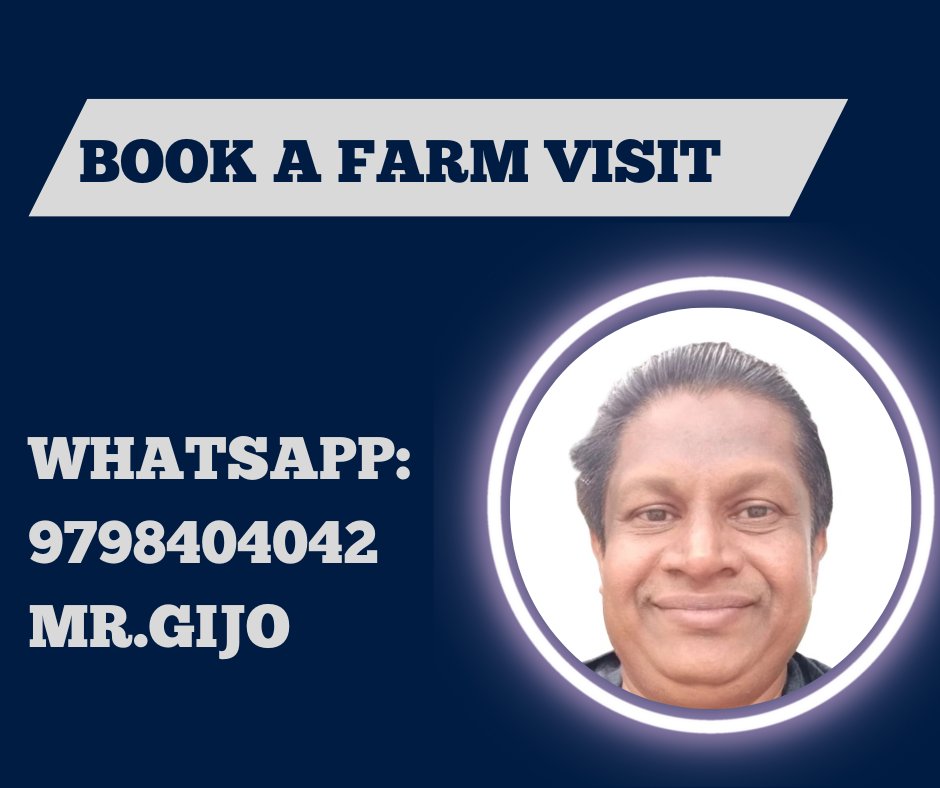 Eco-friendly farm land of 5.5acres divided into 30 plots. Each plot dimension starting from 5guntas onwards Located within 15mnts drive from Hoskote toll gate. INVEST NOW, Reap later.
To know more Whatsapp: +91 9798404042 (Gijo Vijayan) #farmplots #realestate #bangalore #hoskote