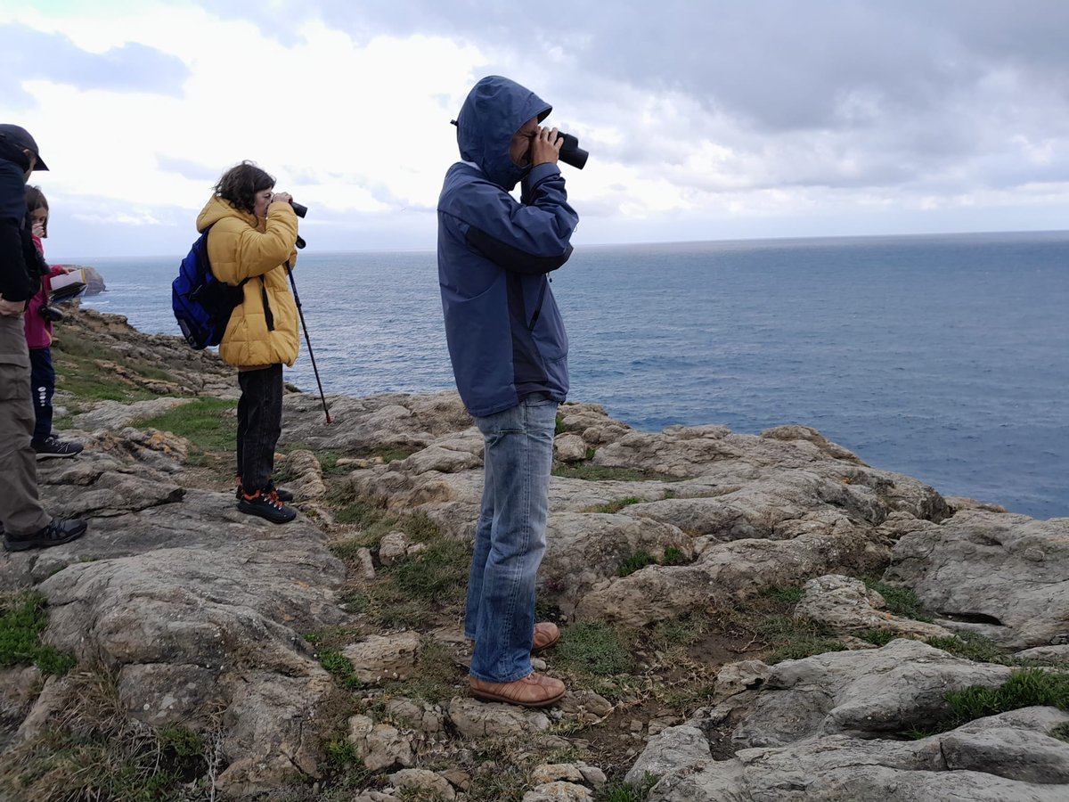 Santander Capital Natural tweet media