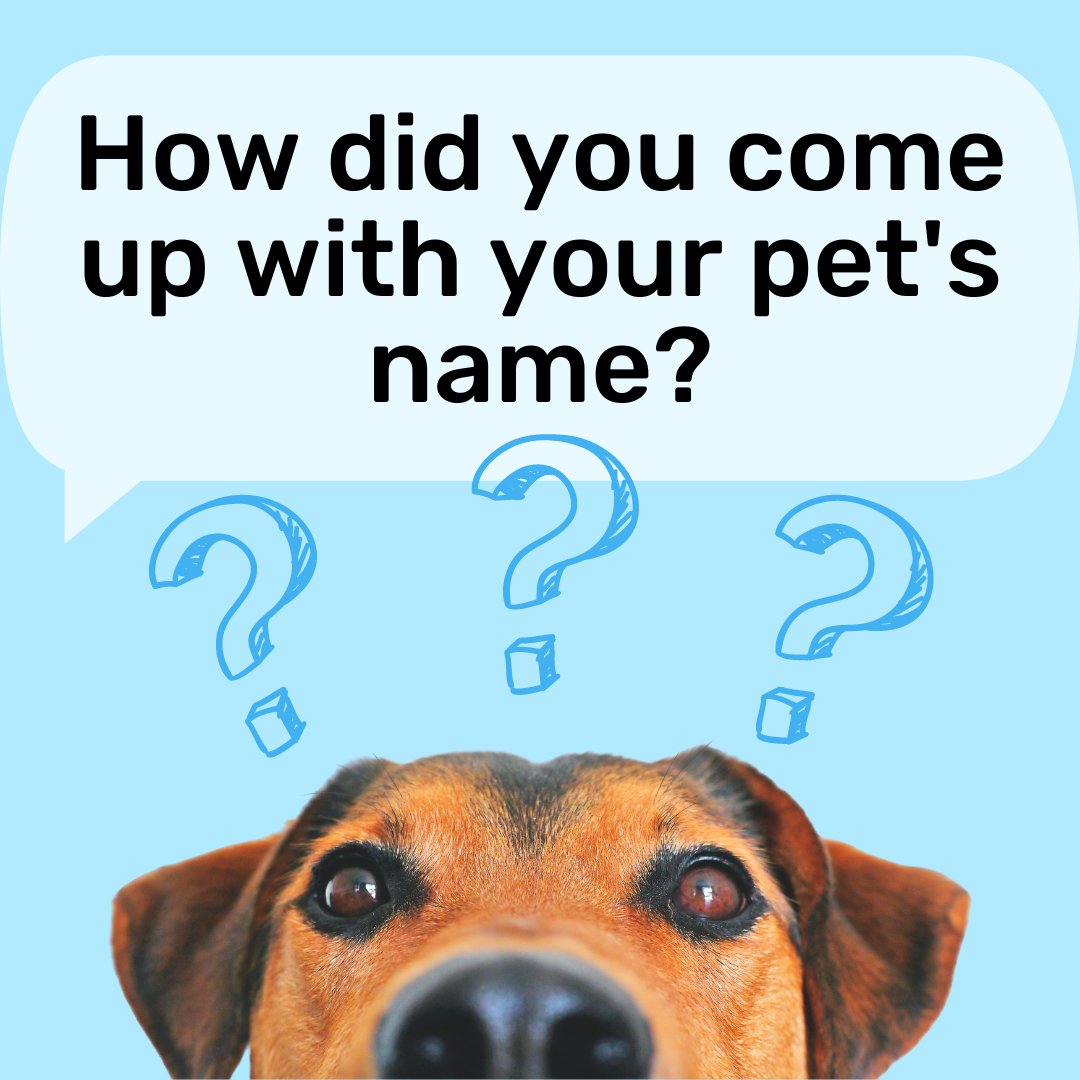 How did you come up with your pet's name? Is it the name of your favorite superhero character? Or maybe your favorite food!😸

#pets #petnames #dognames #catnames #onlinevet #cooperpetcare