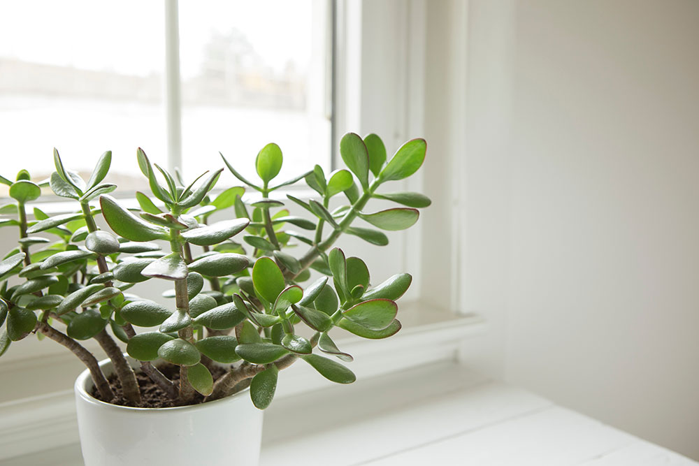 JPAirCon's tweet photo. HOW TO TEST AND IMPROVE YOUR INDOOR AIR QUALITY

Indoor air quality greatly affects our health and can significantly impact how comfortable people are when living inside. Poor air quality can cause respiratory...
https://t.co/Lvpyw8ilRR

#AirQuality #London #ULEZ #aircon #HVAC https://t.co/SjqtQCVwUK