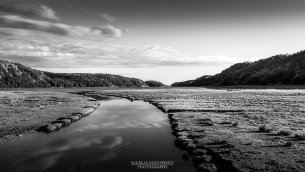 nicklas81's tweet photo. Fjord Landscape In Sunset - Black and White

A beautiful and peaceful fjord landscape with some cows roaming freely in the distance along with wild gees.

https://t.co/79ZLCuTYAB https://t.co/f6fFfKbPse