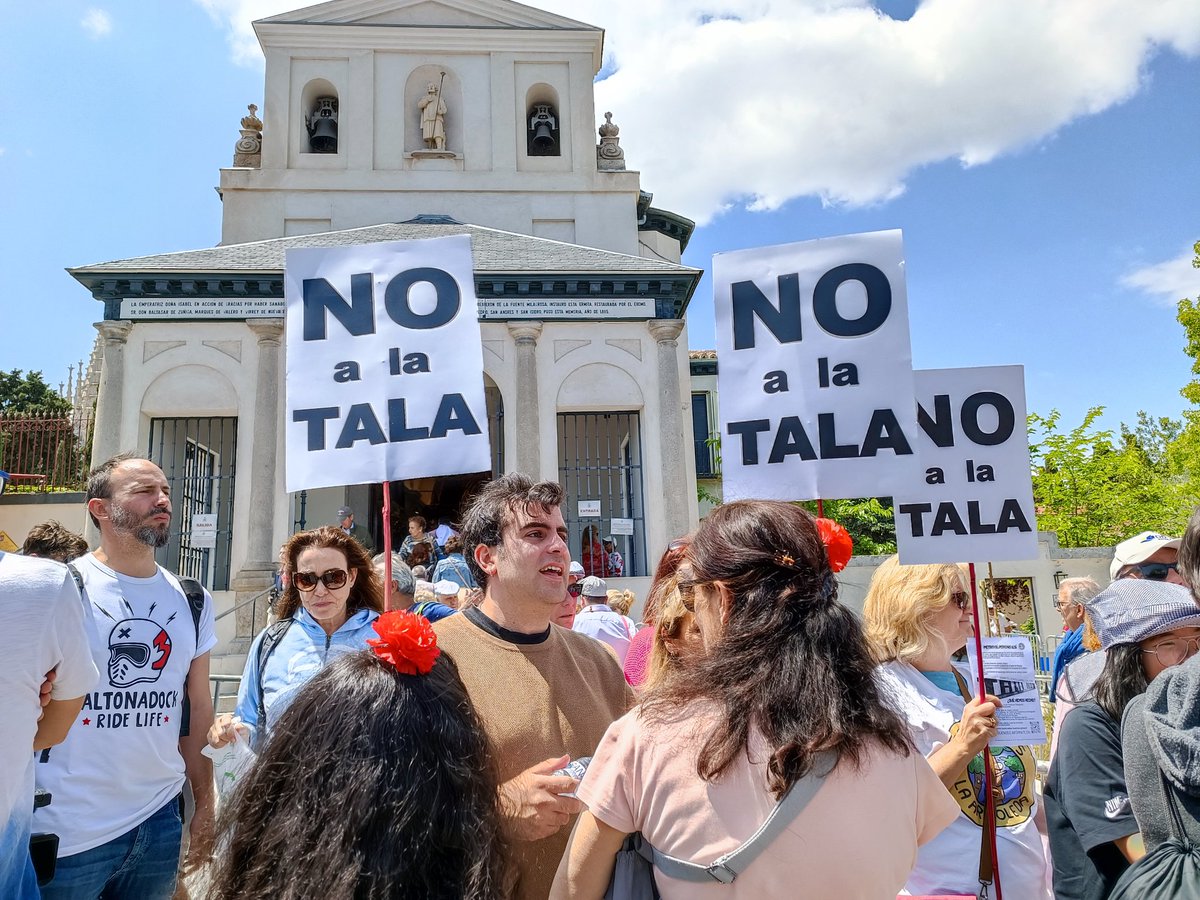 Hemos venido a la romería de San Isidro para  que se sepa que #YoDefiendoEsteArbol  y poder protejer la arboleda