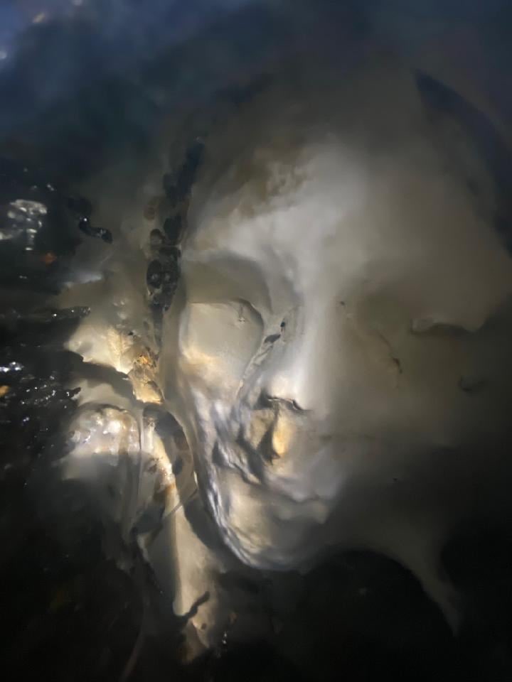 ThanatosArchive's tweet image. A Fisk iron coffin containing the body of a woman, who died in 1853, which was found buried underneath a church. Yes... that is her actual face peering out at us through the window.