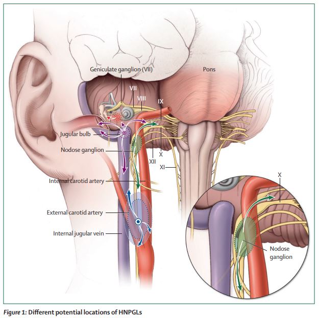 The Lancet Diabetes & Endocrinology tweet media