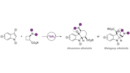 Angewandte Chemie (@angew_chem) on Twitter photo Donor-Acceptor Aminocyclobutane Monoesters: Synthesis and Silylium-Catalyzed (4+2) Annulation with Indoles (Jerome Waser and co-workers) <a href="/LcsoLab/">Waser Group</a> <a href="/EmmaGabRobert/">Emma Robert</a> <a href="/EPFL_CHEM_Tweet/">EPFL Chemistry</a> #openaccess onlinelibrary.wiley.com/doi/10.1002/an… Donor-Acceptor Aminocyclobutane Monoesters: Synthesis and Silylium-Catalyzed (4+2) Annulation with Indoles (Jerome Waser and co-workers) <a href="/LcsoLab/">Waser Group</a> <a href="/EmmaGabRobert/">Emma Robert</a> <a href="/EPFL_CHEM_Tweet/">EPFL Chemistry</a> #openaccess onlinelibrary.wiley.com/doi/10.1002/an…