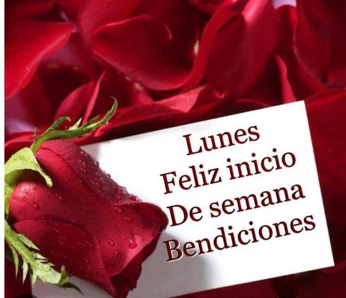 #SomosPuebloDigno 
Feliz lunes mis amores😘

<a href="/jesus372333/">mildre</a> <a href="/poderdigital812/">poderdigital812</a> 
<a href="/poderdigital813/">poderdigital813</a> <a href="/poder812/">poder812</a> <a href="/larveja31/">@Larveja3</a>
<a href="/Josefinc055/">Josefina</a> <a href="/patriona52/">patriona52</a> <a href="/flor1730/">Teresa Velázquez</a> <a href="/paz1730/">alejandro</a> <a href="/cpmarp21/">CpMarp21 🐾🐾</a> <a href="/nesyhu2/">nesyhu2</a> <a href="/carynes603/">carynes603</a> <a href="/Solecito19011/">Solecito1901</a> <a href="/solymart1/">solymart</a> <a href="/Smml41/">Rubi</a> <a href="/ludwing_hans/">Hans Ludwing</a> <a href="/chande5035/">chande</a> 
<a href="/kristof8419/">kristofer</a> <a href="/PavitoTuitero/">PavitoTuitero</a>