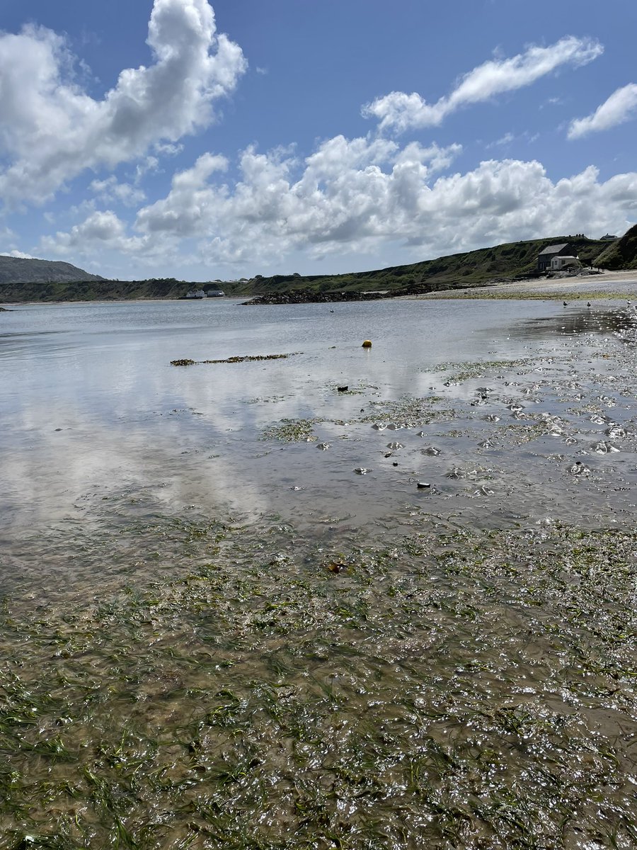 Mariana Lima tweet media