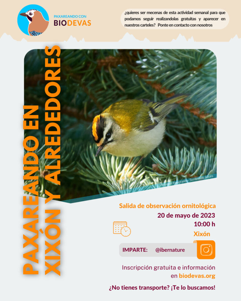 biodevas's tweet photo. Ya hemos abierto el formulario para que te puedas inscribir gratuitamente en nuestra próxima actividad.
Conoce el fascinante mundo de las aves de la mano de  nuestro Deva Andrés Díaz Estévez
https://t.co/fGYBuug1EV
#SembrandoFuturo #Biodevas #Asturias #Gijón #aves #ornitología https://t.co/wICYSIvSh5