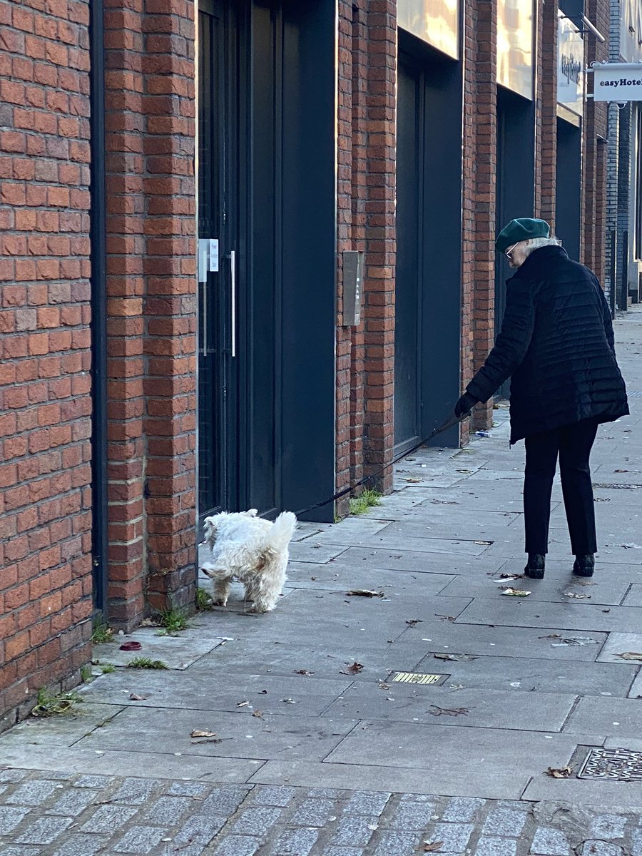 Meet the cute old lady holding the cute dog. So cute