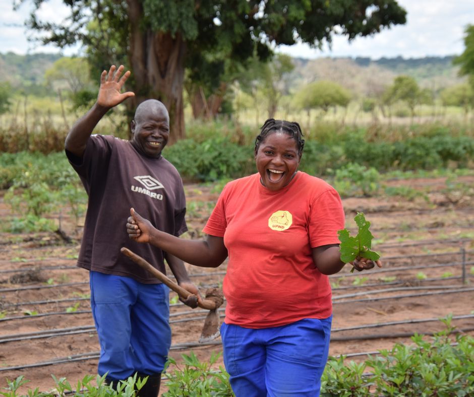 As the Mukuni Community Farm grows, so do the smiles of the community members working on the farm. Here they learn about sustainable farming techniques & directly benefit from the produce they grow on site!