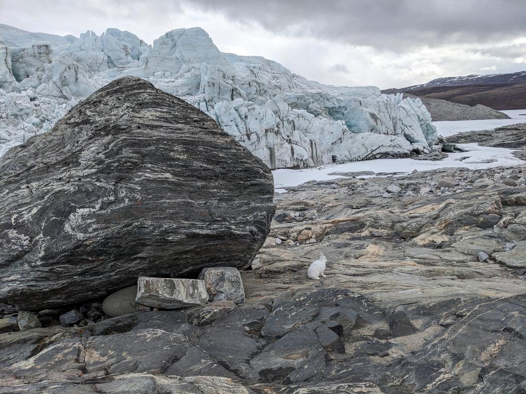 Hello Greenland 🇬🇱