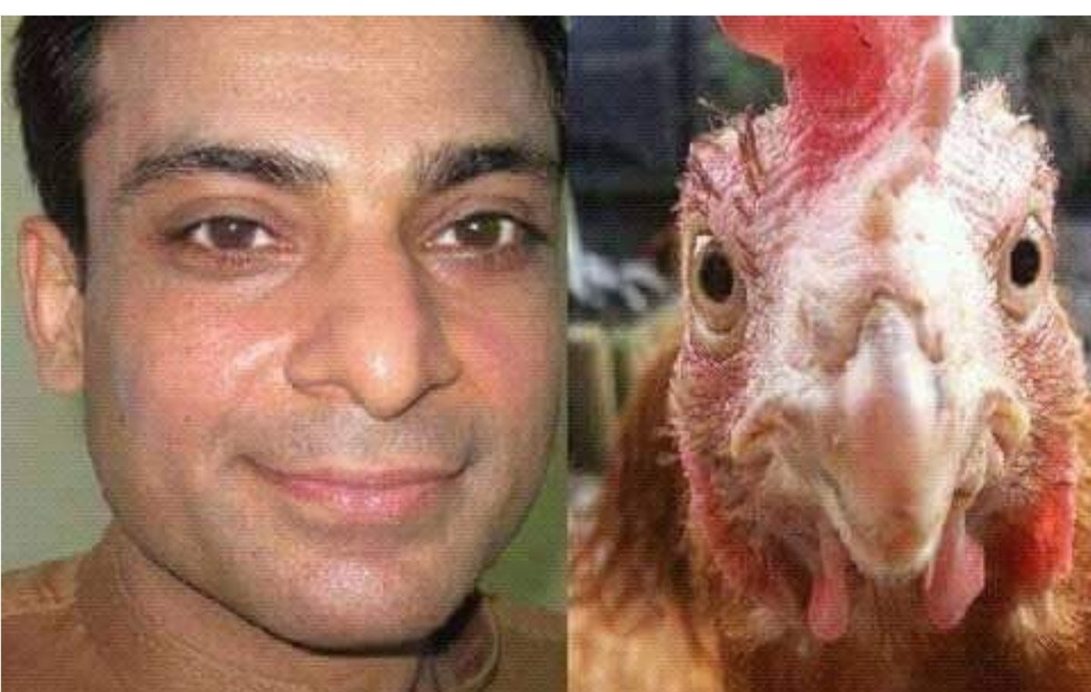@FrankfurtPK Boycott Chicken, Most of the poultry farms are owned by Hamza Kukri.