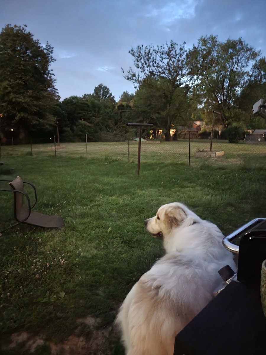 Katie (@katezchoice) on Twitter photo 