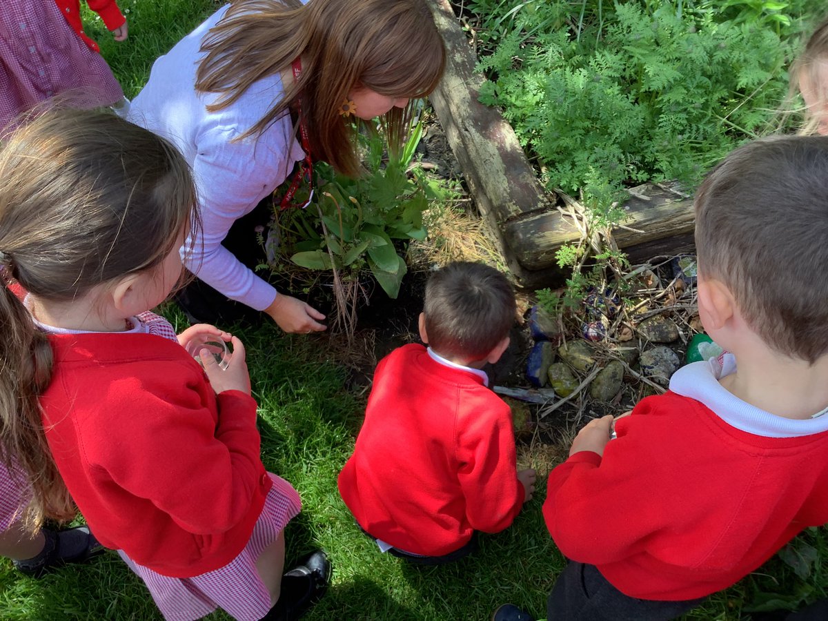 ClassRAspull's tweet photo. More bug hunting and finding leaves and grass to build a bug hotel! #acpseyfs https://t.co/Cdcj21xDa0