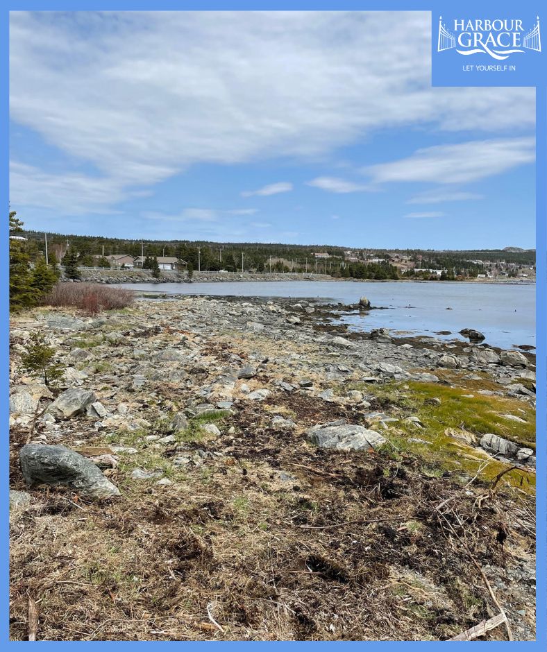 townofhrgrace's tweet photo. Thanks to those who volunteered their Saturday morning to clean up part of the estuary Conservation Area near the beginning of Southside Rd!
#letyourselfin @SAM_Stewardship https://t.co/RqSDTMcPVz
