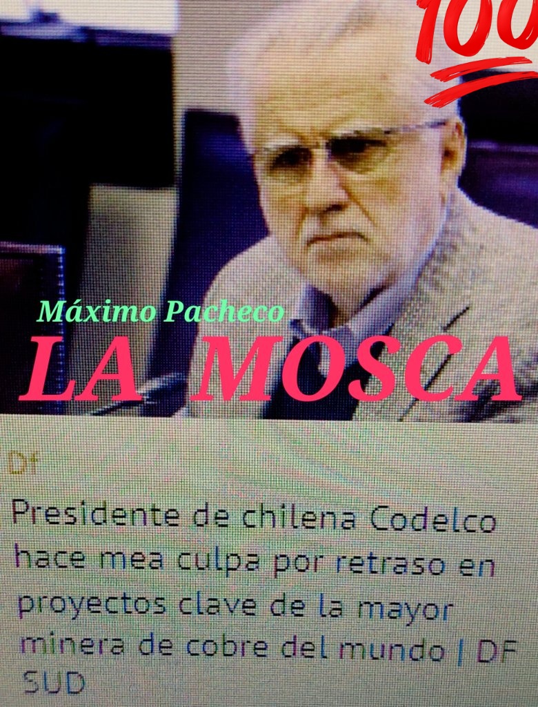 Elvistec007's tweet photo. #UnPickle 
💯Paulsen es un #Pseudoperiodista comprometido
#LaVerdadEsUnaSola #LosMediosSonElCovid
CODELCO ES EL EPITOME DE LA INEFICACIA DEL ESTADO,DONDE LOS EJECUTIVOS COMO LA MOSCA DE PACHECO Y LOS SINDICATOS MINEROS SUPURAN COMUNISMO E INEFICIENCIA PRODUCTIVA
📸#BajatePacheco https://t.co/ybWhTpBnM5