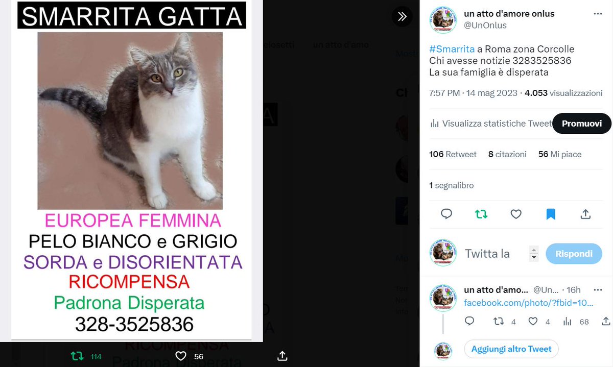 unonlus's tweet photo. la #micia è #tornata a casa 🏠 🥰🥰🥰🥰🥰🥰🥰 https://t.co/PSkMlWdTxK