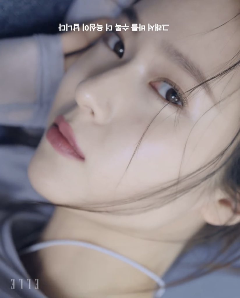 수정이 저장소 tweet media