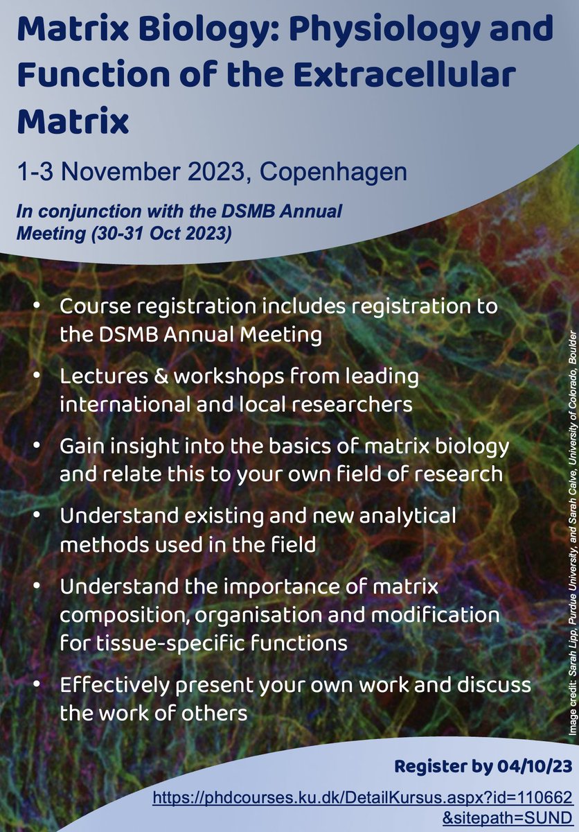 Chloé Yeung (@ccstorytime) on Twitter photo Are you a PhD student who wants to know more about the extracellular matrix? Sign up for the Matrix Biology PhD course, which takes place 1-3 Nov <a href="/ISMCopenhagen/">Institute of Sports Medicine Copenhagen</a> in conjunction with the @DMSB_dk Annual Meeting. We have an exciting line up of experts!
tinyurl.com/ECMCPH Are you a PhD student who wants to know more about the extracellular matrix? Sign up for the Matrix Biology PhD course, which takes place 1-3 Nov <a href="/ISMCopenhagen/">Institute of Sports Medicine Copenhagen</a> in conjunction with the @DMSB_dk Annual Meeting. We have an exciting line up of experts!
tinyurl.com/ECMCPH