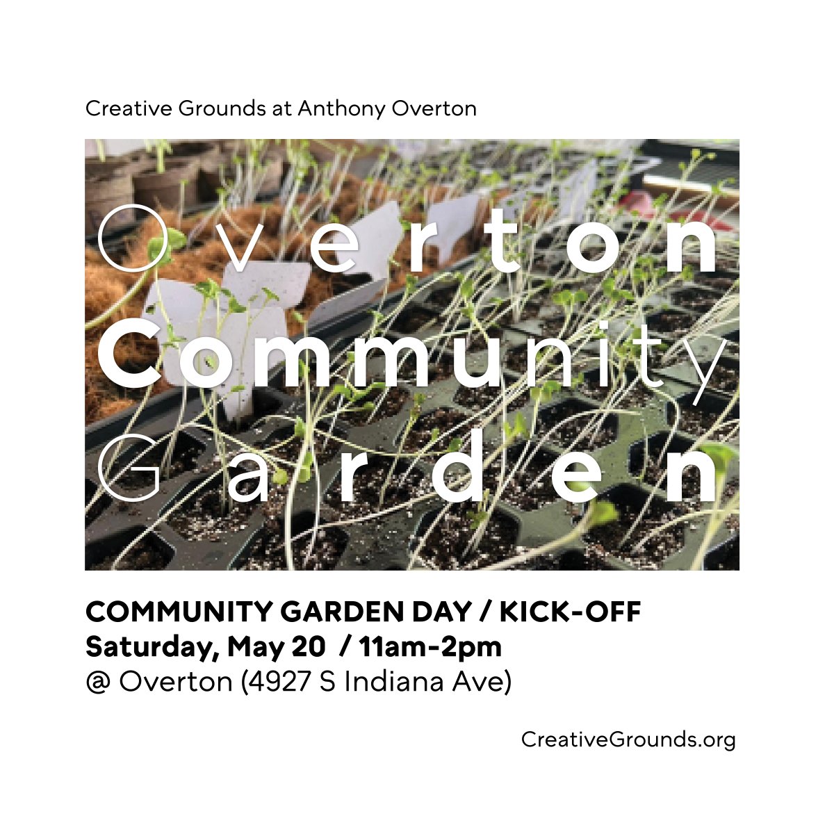 Borderless Studio tweet media