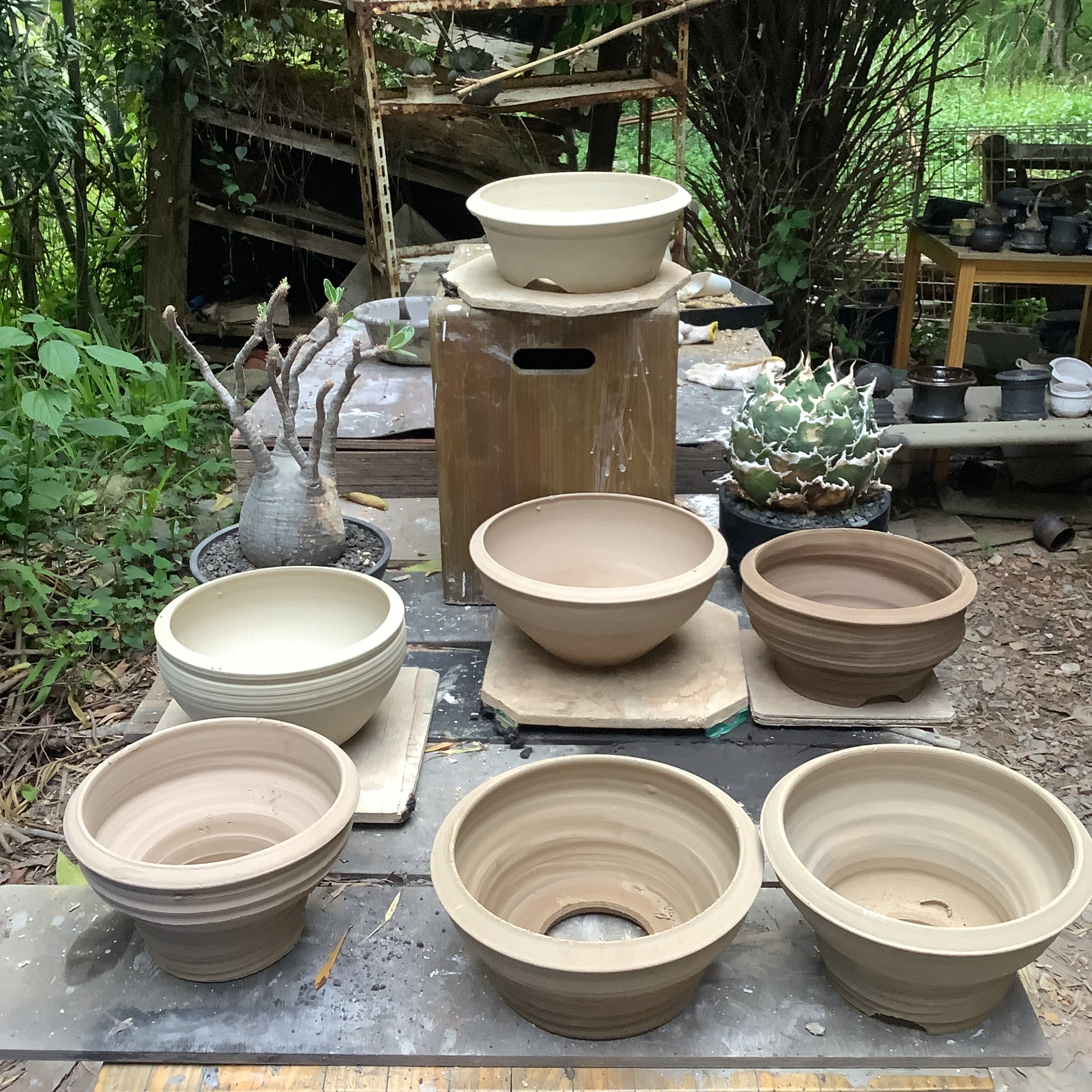 姫野翔太　姫野鉢　金彩　作家鉢　大鉢　未使用品 赤*メ様 植木鉢 姫野翔太 KIMERA大鉢 金彩菊模様 アガベやパキプス