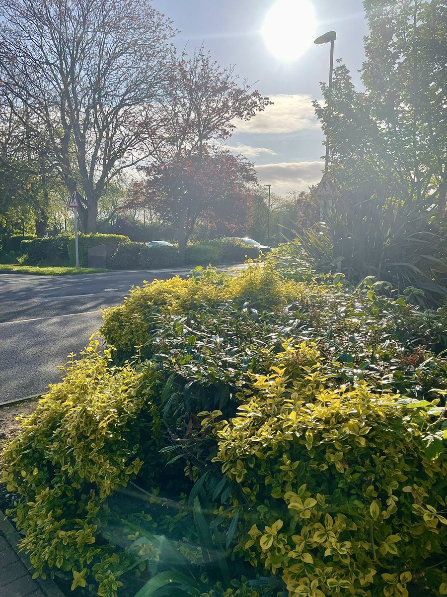 Manjeet Kaur French tweet media